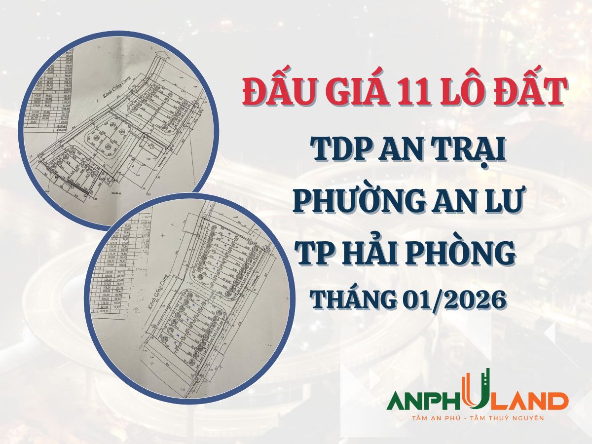Thông báo đấu giá 11 lô đất tại thôn An Trại, An Lư (nay thuộc TDP An Trại, phường Hoà Bình), TP Hải Phòng tháng 1 năm 2026
